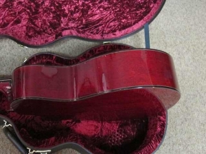Taylor GACE LTD, All-Mahogany, Spring 2011 Limited Editions