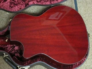 Taylor GACE LTD, All-Mahogany, Spring 2011 Limited Editions