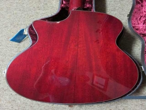 Taylor GACE LTD, All-Mahogany, Spring 2011 Limited Editions