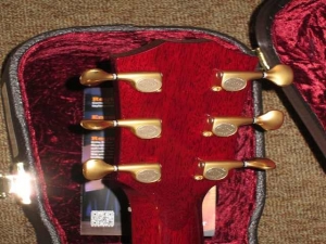 Taylor GACE LTD, All-Mahogany, Spring 2011 Limited Editions
