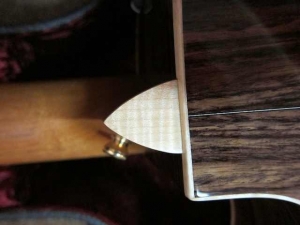 View the album Taylor 810 CE