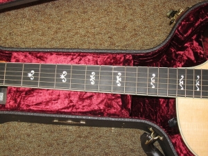 View the album Taylor W14 CE, Spring 2011 Limited Edition--SOLD!