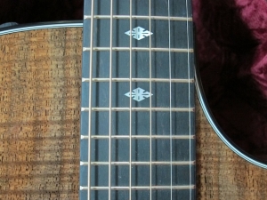 View the album TAYLOR CUSTOM GACE, Flamed Claro Walnut (Back, Sides, and Top!) SOLD!