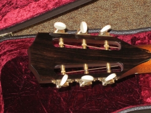 View the album Taylor GCCE, Macassar Ebony, 12-Fret, Spring 2011 Limited Edition--SOLD!