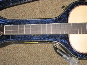 View the album Larrivee Custom P03, Italian Alpine Spruce/Genuine South American Mahogany