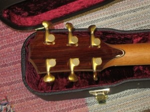 View the album Taylor Fall Limited GACE Cocobolo/Sitka Spruce