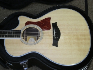 Taylor Fall Limited, 412CE  Rosewood and Sitka Spruce