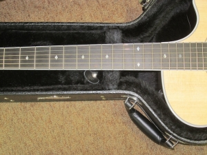 Taylor Fall Limited, 412CE  Rosewood and Sitka Spruce