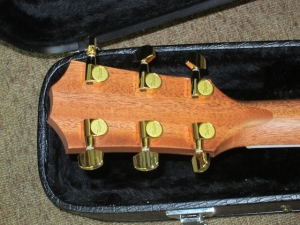 Taylor Fall Limited, 412CE  Rosewood and Sitka Spruce