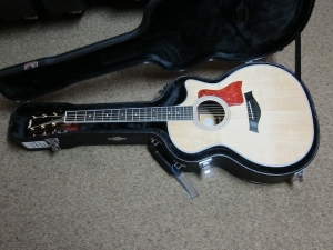 Taylor Fall Limited, 414CE  Rosewood and Sitka Spruce
