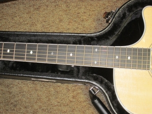 Taylor Fall Limited, 414CE  Rosewood and Sitka Spruce