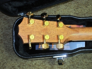 Taylor Fall Limited, 414CE  Rosewood and Sitka Spruce