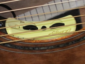 Larrivee Custom LV-05E, ALL QUILTED MAHOGANY! #3