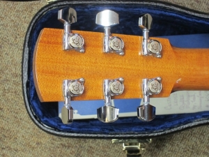 Larrivee Custom LV-05E, ALL QUILTED MAHOGANY! #3