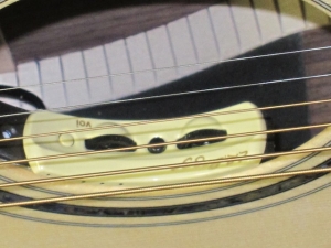 View the album Larrivee Custom LSV-10E, Italian Alpine Spruce, East Indian Rosewood