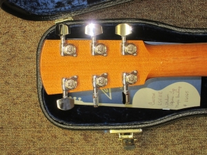 View the album Larrivee Custom LSV-10E, Italian Alpine Spruce, East Indian Rosewood