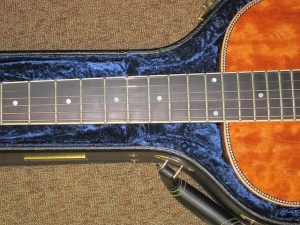 Larrivee Custom P-05, ALL QUILTED MAHOGANY!
