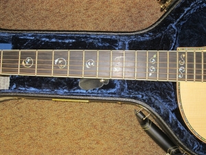 View the album Larrivee Custom LV-10E, Italian Alpine Spruce/East Indian Rosewood, Vine Headstock--SOLD!