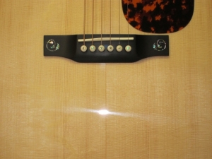 Larrivee LV-05E, Fine Brazilian Mahogany/Italian Alpine Spruce
