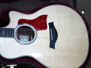 Taylor New Spring Limited 816CE, Cocobolo/Sitka Spruce