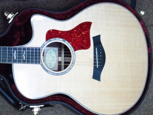 Taylor New Spring Limited 816CE, Cocobolo/Sitka Spruce