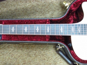 Taylor New Spring Limited 816CE, Cocobolo/Sitka Spruce