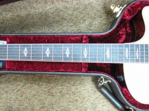 Taylor New Spring Limited 816CE, Cocobolo/Sitka Spruce