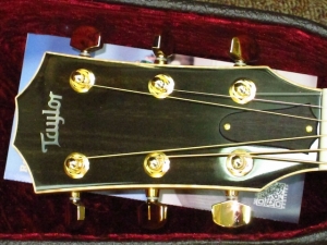 Taylor New Spring Limited 816CE, Cocobolo/Sitka Spruce