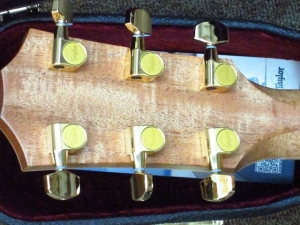 Taylor New Spring Limited 816CE, Cocobolo/Sitka Spruce