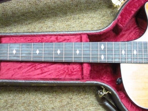 Taylor Custom GACE, Old-Growth Redwood/Rare Amazon Rosewood!