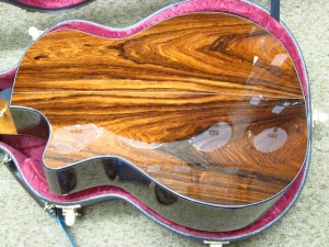 Taylor Custom GACE, Old-Growth Redwood/Rare Amazon Rosewood!