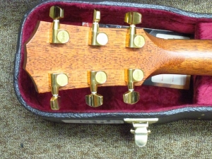 Taylor Custom GACE, Old-Growth Redwood/Rare Amazon Rosewood!