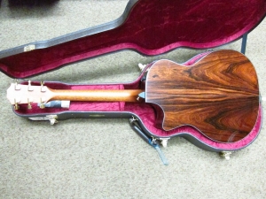 Taylor Custom GACE, Old-Growth Redwood/Rare Amazon Rosewood!