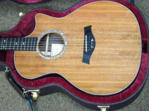 Taylor Custom GACE, Old-Growth Redwood/Rare Amazon Rosewood!