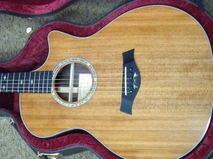 Taylor Custom GACE, Old-Growth Redwood/Rare Amazon Rosewood!