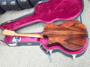 Taylor Custom GACE, Old-Growth Redwood/Rare Amazon Rosewood!