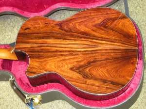 Taylor Custom GACE, Old-Growth Redwood/Rare Amazon Rosewood!