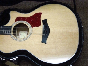 Taylor Spring Limited Edition 314CE, Koa/Sitka Spruce