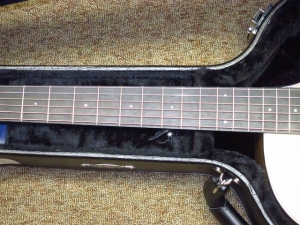 Taylor Spring Limited Edition 314CE, Koa/Sitka Spruce