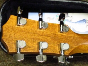 Taylor Spring Limited Edition 314CE, Koa/Sitka Spruce