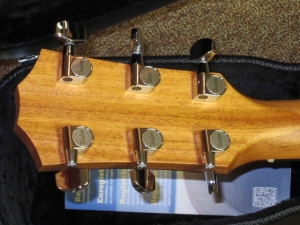 Taylor New Spring Limited 316CE, Koa/Sitka Spruce
