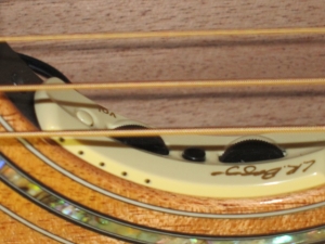 Larrivee Custom OM-05E, All Brazilian Mahogany, L.R. Baggs Anthem Pickup