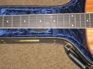 Larrivee Custom OM-05E, All Brazilian Mahogany, L.R. Baggs Anthem Pickup