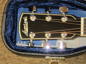 Larrivee Custom OM-05E, All Brazilian Mahogany, L.R. Baggs Anthem Pickup