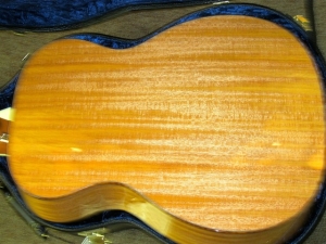 Larrivee Custom OM-05E, All Brazilian Mahogany, L.R. Baggs Anthem Pickup