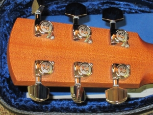 Larrivee Custom OM-05E, All Brazilian Mahogany, L.R. Baggs Anthem Pickup
