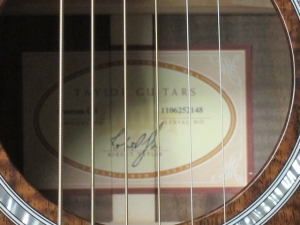 Taylor Custom GSCE, All Figured Walnut! WOW!