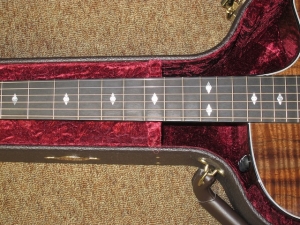 Taylor Custom GSCE, All Figured Walnut! WOW!