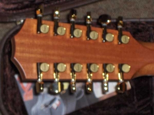 View the album Taylor 856CE