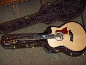 View the album Taylor 856CE